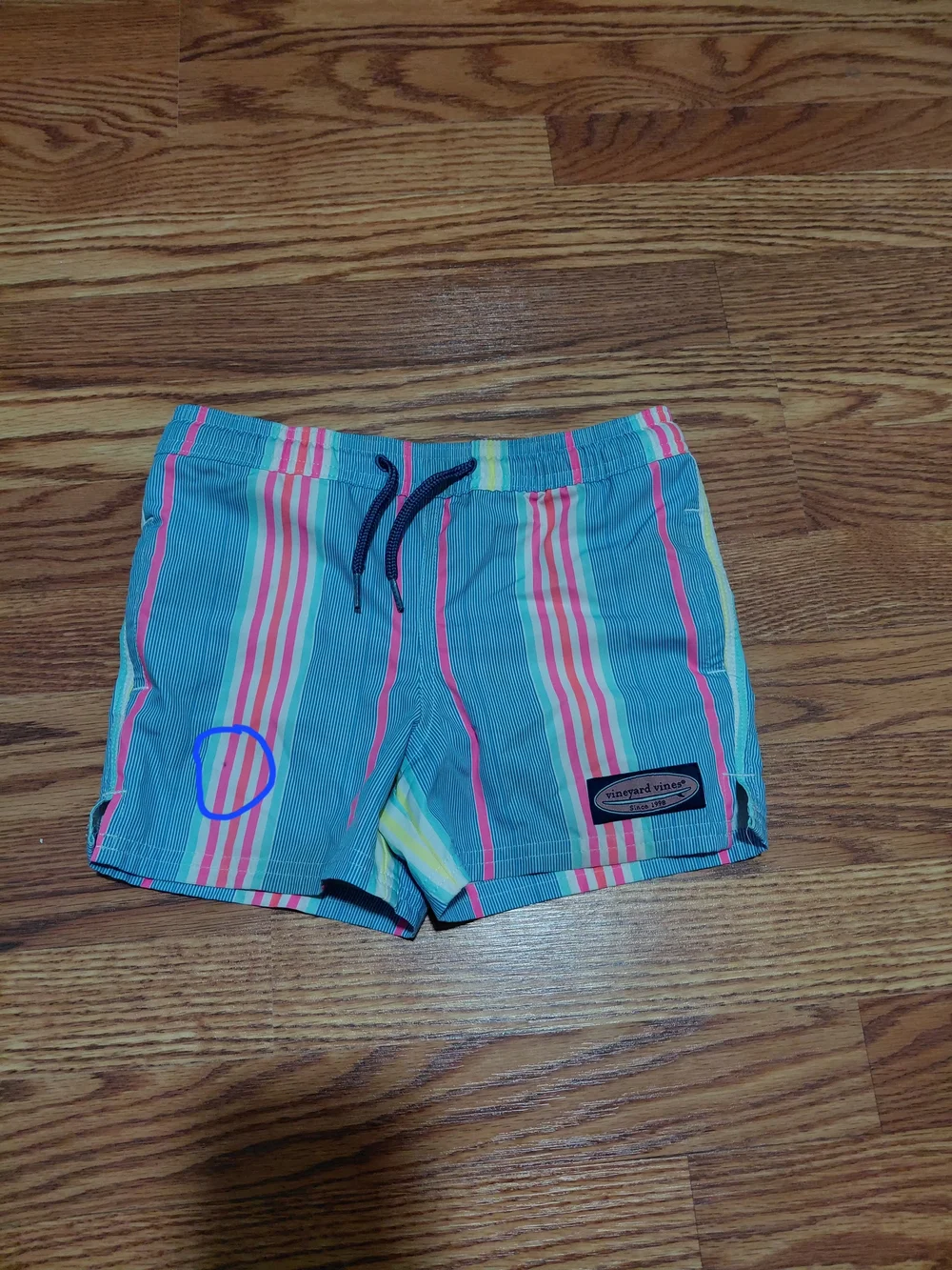 Vineyard Vines Swim Trucks Kids Size 4T Boy Blue Pink Yellow Striped Swim Shorts